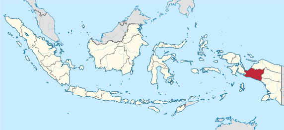 Peta lokasi Provinsi Papua Tengah di Indonesia