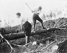 The Forestry Corps, Petworth, Sussex Q115179.jpg