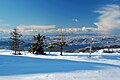 L'hivern del 2009-2010, la neu va cobrir Bergen durant 91 dies seguits.[141]