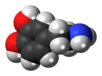 Vignette pour Dopamine