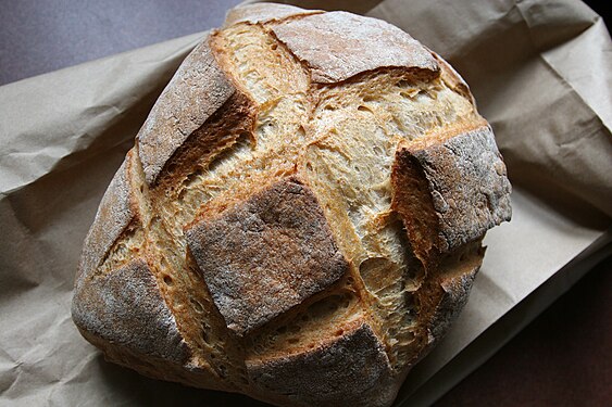 Freshly baked loaf of country bread (white bread)