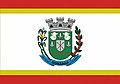 Bandeira de Gonzaga