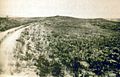 Photo taken in 1894 by H.R. Locke on Battle Ridge looking toward Last Stand Hill (top center). To the right of Custer Hill is Wooden Leg Hill, named for a surviving warrior. He described the death of a Sioux sharpshooter killed after being seen too often by the enemy.[236][237]