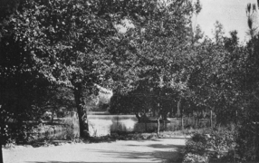 Parque Cousiño, hacia 1910.png
