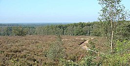 Sallandse Heuvelrug in de omgeving van Nijverdal (Noetselerberg)