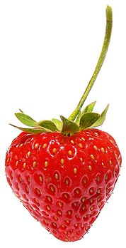 Une fraise cultivée (Fragaria × ananassa). (définition réelle 603 × 1 179)