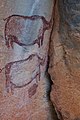English: Cave paintings in Tsodilo Hills. Македонски: Пештерски цртежи во Цодило.