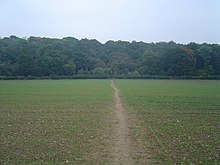 Une plaine et une forêt.