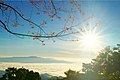 The morning scenery viewed from Doi Kio Lom Viewpoint