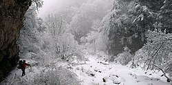 冬の太白山・羊皮溝