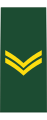 Corporal (French: Caporal) (Canadian Army)[34]