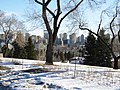 Downtown view from SAIT