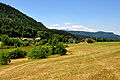 English: Summerlike landscape Deutsch: Sommerliche Landschaft