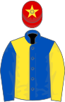 Royal blue and yellow halved, sleeves reversed, red cap, yellow star