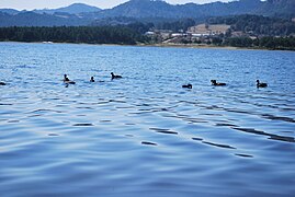 Presa El Tejocotal en el municipio de Acaxochitlán.