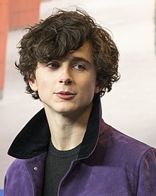 A photograph of Timothée Chalamet at the 2017 Berlinale