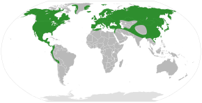 Description de l'image Alnus distribution.svg.