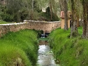 Fuente Fresnera de Caballar (Segovia, España)