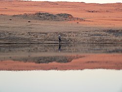 Fly-fishing at the Dullstroom dam and nature reserve