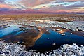 20 octobre 2011 Désert de sel d'Atacama (Chili). À l'horizon, le volcan Licancabur.