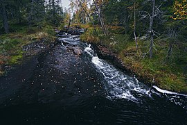 Svartdalstjerna Lakes Primeval Forest Nature Reserve of the Totenaasen Hills in Norway 85.jpg