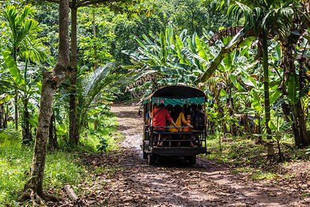 Transport to Karang Bolong Beach, Cilacap