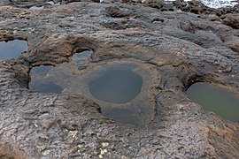 20190415 Yehliu geopark tide pool-1.jpg