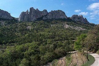 Dentelles de Montmirail, hier die Dentelles Sarrasines