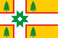 Drapeau d'Aliochino