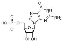 GMP chemical structure.png