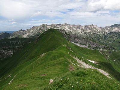 Nebelhorn-Wengenkopf mountain chain from South, photo