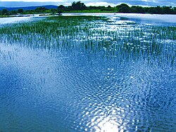 Laguna di Umari, a Belém da Paraíba