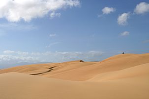 Hot desert climate (BWh) in Medanos de Coro National Park