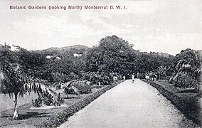 Montserrate - Botanic Gardens, looking north.jpg