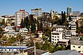 A view of the Svetlana residential area in Sochi