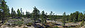 * Nomination Panorama from Sammallahdenmäki bronze age burial site in Lappi, Finland. --kallerna 14:55, 12 June 2012 (UTC) * Promotion Useful and QI to me. -- JLPC 22:36, 12 June 2012 (UTC)