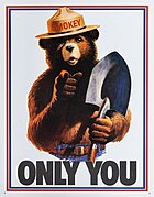 כרזת שירות היערות האמריקאי משנת 1985. בכרזה נראה קמיע השירות, הוא דמות הדוב "Smokey Bear" (משחק מילים בין עשן וקצין משטרה[דרושה הבהרה]), כשלצידו הכיתוב "רק אתה" המאזכר את אמרתו הידועה כי "רק אתה יכול למנוע שרפות יער"