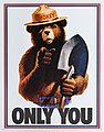 ABD, 1985. Smokey Bear posteri. "Orman yangınları önleyebilen sadece sensin"