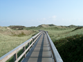 Holzsteg/board walk