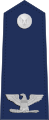 美国空军上校肩章