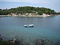 Valdarke Bay (island of Lošinj)