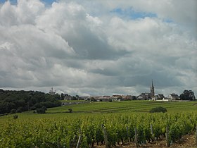 Image illustrative de l’article Pouilly-fumé