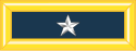 Brigadier General