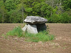 Image illustrative de l’article Dolmen de Kerscao