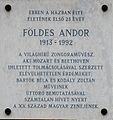 Andor Földes