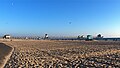 Huntington State Beach nahe dem Pier