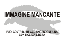 Immagine di Arambourgia gaudryi mancante