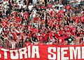 Supporters du Nea Salamina