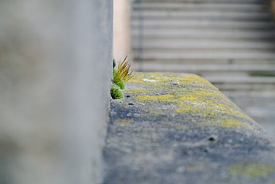 Playing Hide and seek at the edge