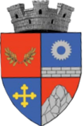 Wappen von Bumbești-Jiu